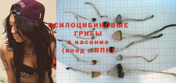 2c-b Абаза