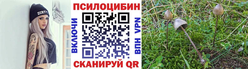 Галлюциногенные грибы GOLDEN TEACHER  Менделеевск 