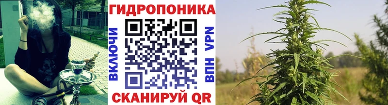 наркошоп  Менделеевск  Канабис ГИДРОПОН 